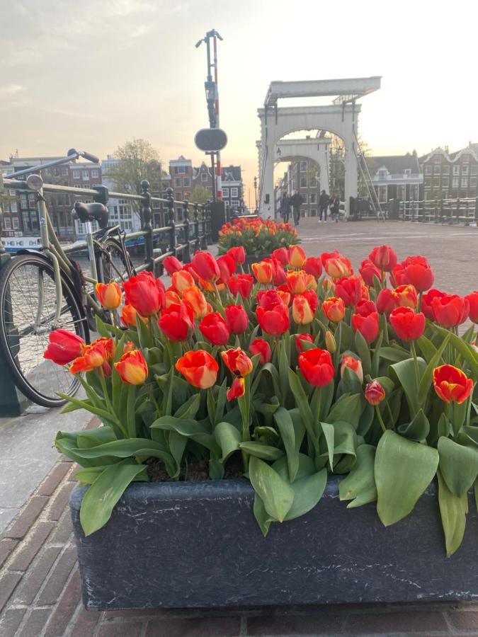 Amstel Boutique Studio Amsterdam Luaran gambar